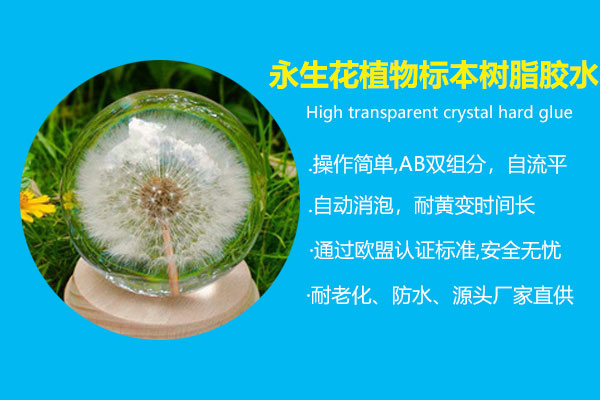 永生花植物標(biāo)本樹脂膠水